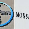 Mexico condiciona concentración entre Bayer y Monsanto